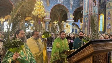 Η Κυριακή της Βαϊοφόρου στην Ενορία μας